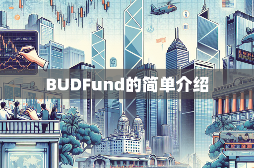 BUDFund的简单介绍