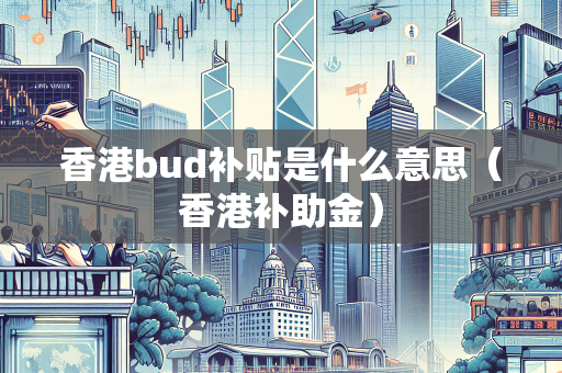 香港bud补贴是什么意思（香港补助金）